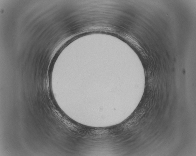 X0000068260888200605191800