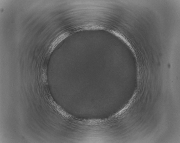 X0000068260889200605191800