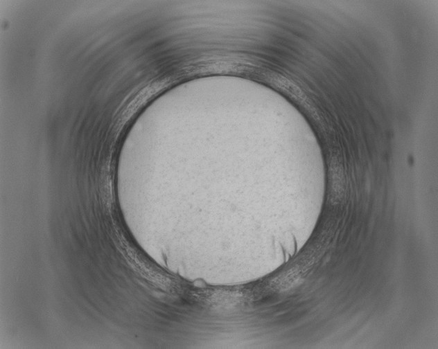 X0000068260890200605191800