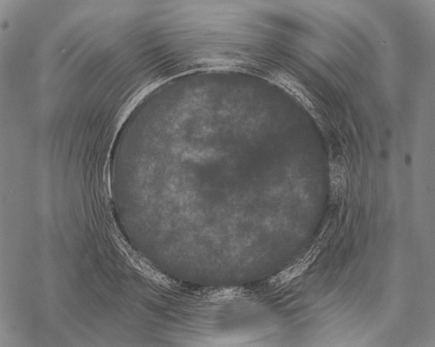 X0000068260891200605191800