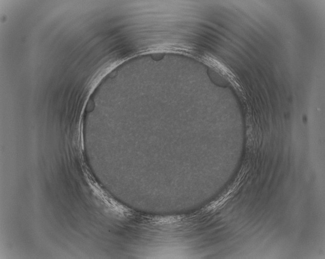 X0000068260892200605191800