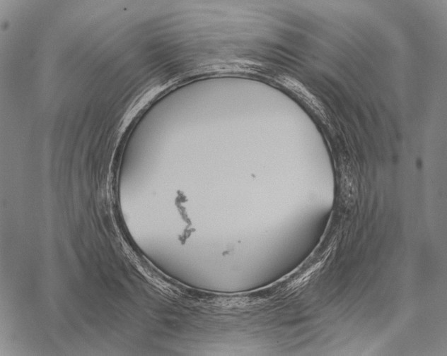 X0000068260893200605191800