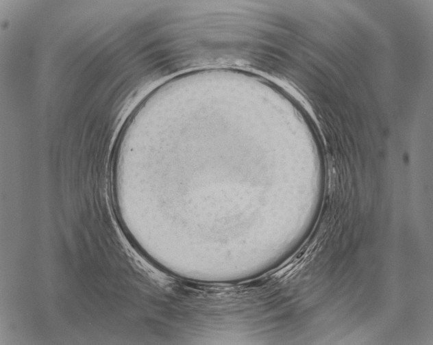 X0000068260895200605191800