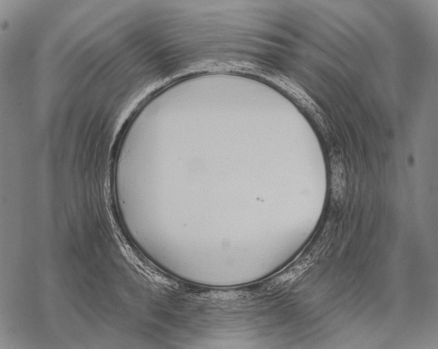 X0000068260896200605191800