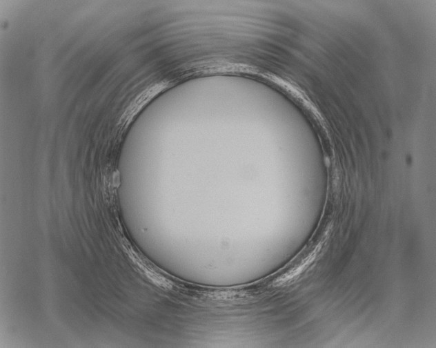 X0000068260897200605191800