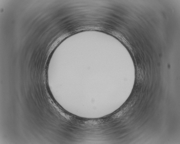 X0000068260898200605191800