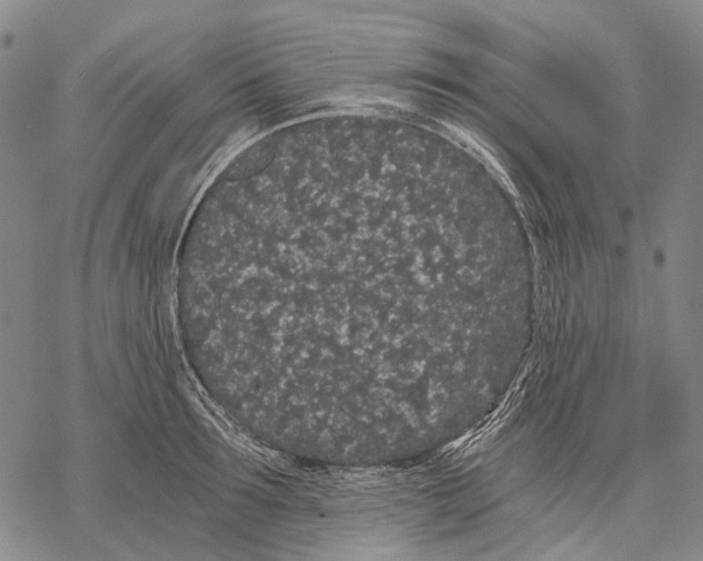 X0000068260899200605191800