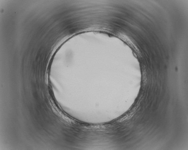 X0000068260900200605191800