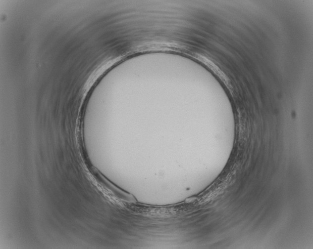 X0000068260901200605191800