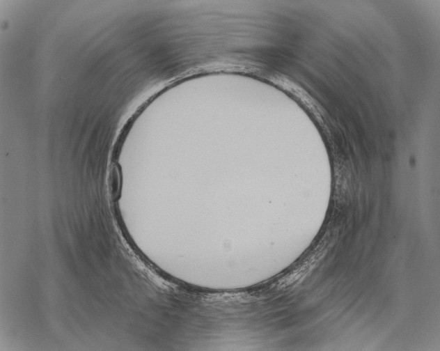 X0000068260902200605191800