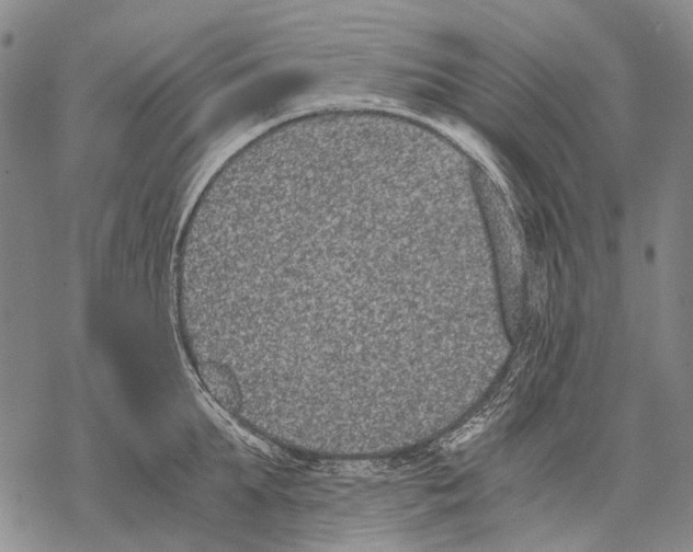 X0000068260903200605191800