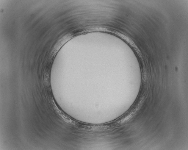 X0000068260905200605191800