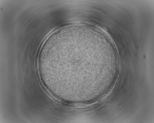 X0000068260907200605191800