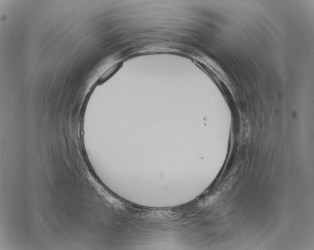 X0000068260909200605191800