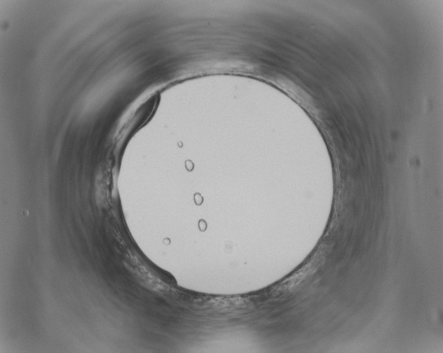 X0000068260912200605191800