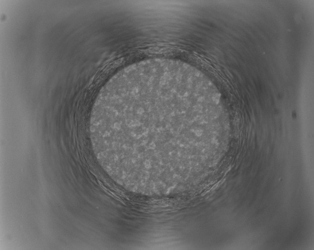 X0000068260913200605191759