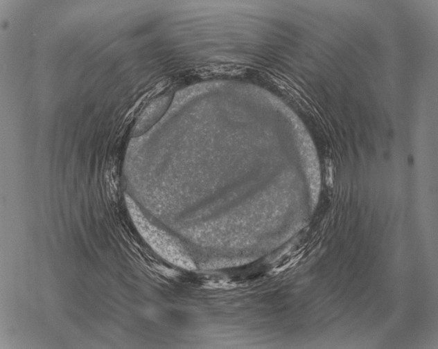 X0000068260915200605191759