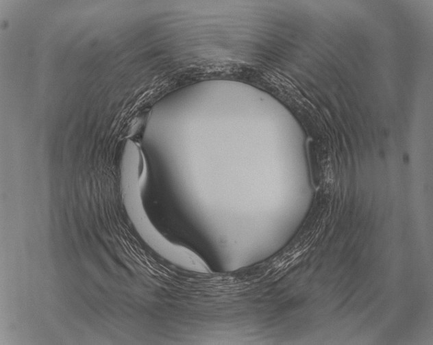 X0000068260916200605191759