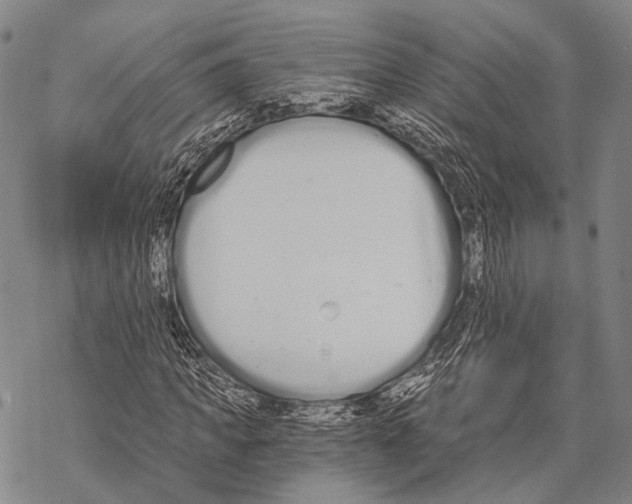 X0000068260917200605191759