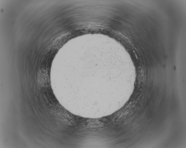 X0000068260918200605191759