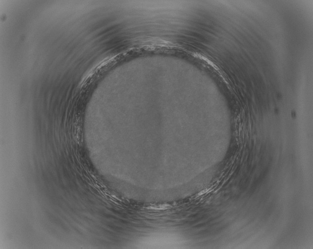 X0000068260919200605191759