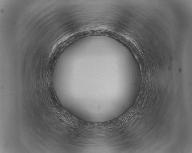 X0000068260920200605191759