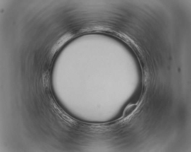 X0000068260921200605191759