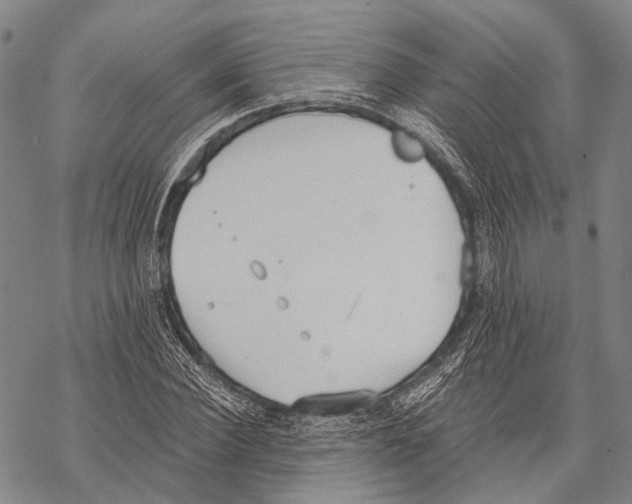 X0000068260924200605191759