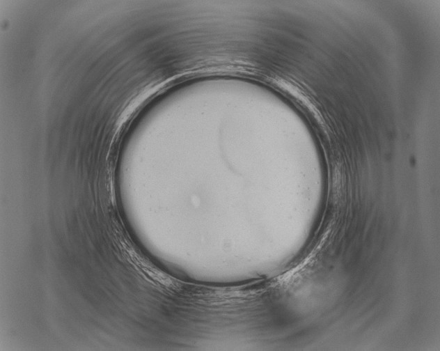 X0000068260925200605191759