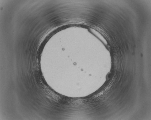 X0000068260926200605191759