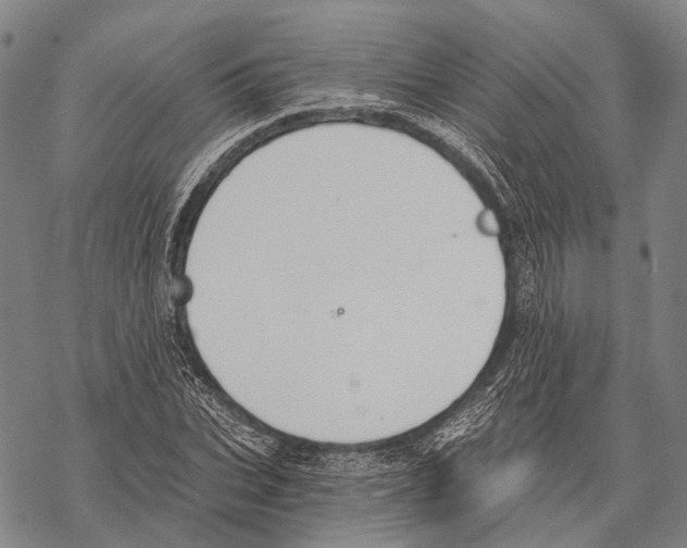 X0000068260927200605191759