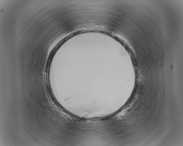 X0000068260928200605191759