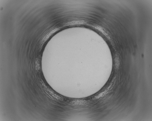 X0000068260929200605191759