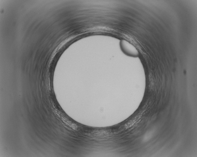 X0000068260931200605191759