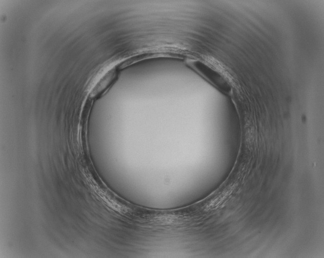 X0000068260932200605191759