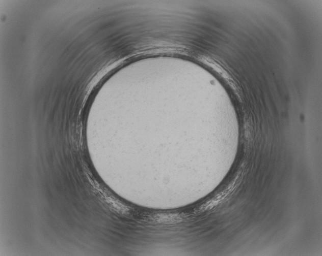 X0000068260933200605191759