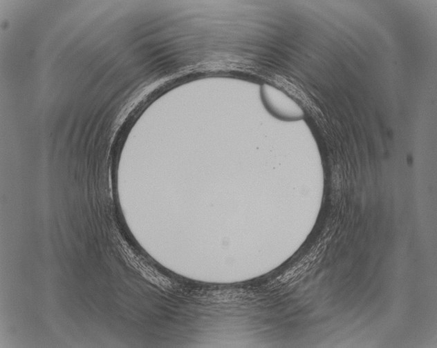 X0000068260934200605191759