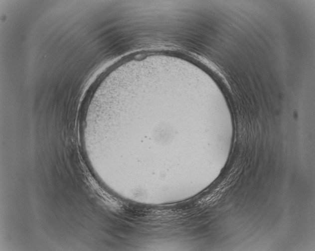 X0000068260935200605191759