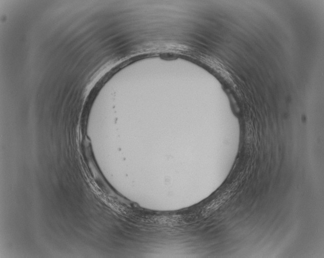 X0000068260936200605191759