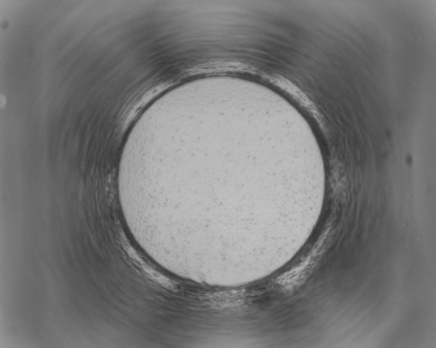 X0000068260937200605191759