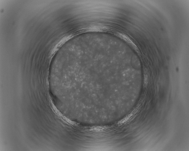 X0000068260938200605191759