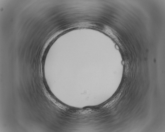 X0000068260939200605191759