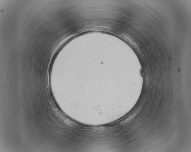 X0000068260940200605191759