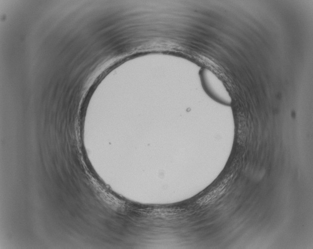 X0000068260942200605191759