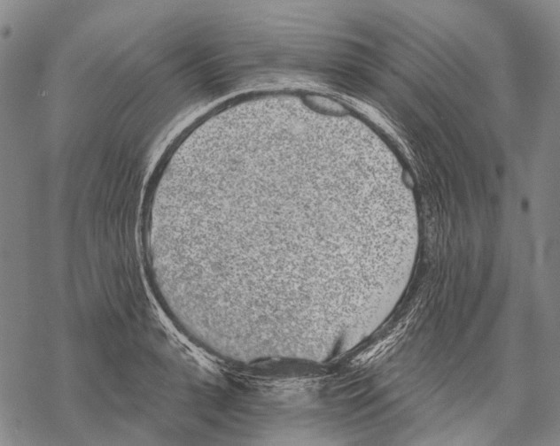 X0000068260943200605191759