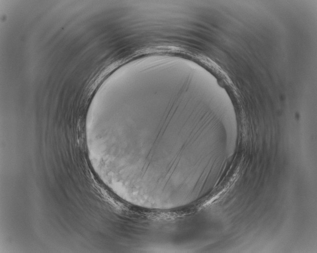 X0000068260945200605191759