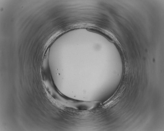 X0000068260946200605191759