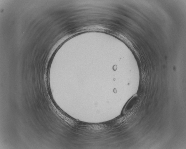 X0000068260947200605191759