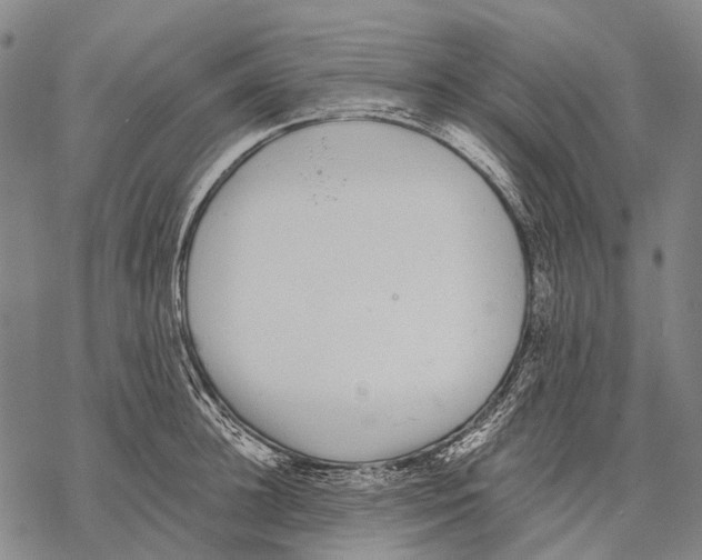 X0000068260948200605191759