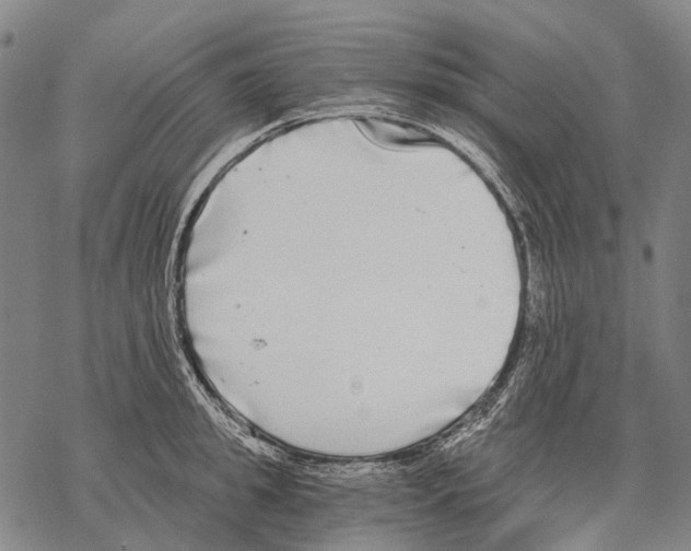 X0000068260949200605191759